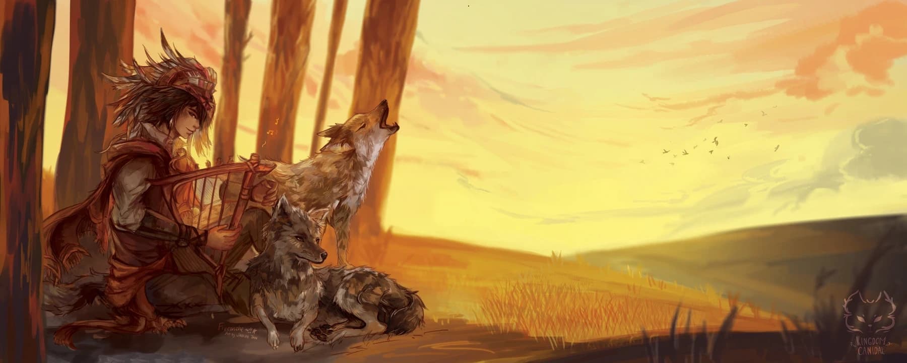 Kingdom Canidae: Coyote.